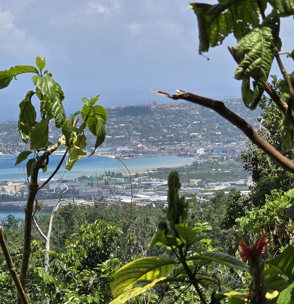 2026-04-11-D Montego Bay 20260411_113108_ji.jpg